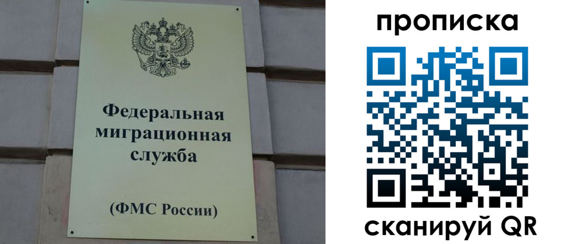 прописка поиск в Орловской области